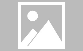 利津枣庄校服网站建设招标（枣庄学院招标公告）